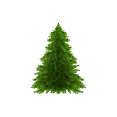 Abholung der Weihnachtsbäume